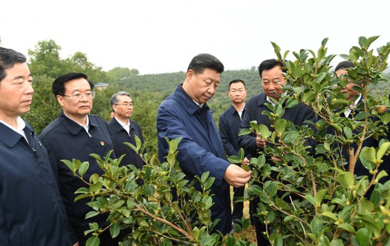 習近平在河南考察時強調 堅定信心埋頭苦干奮勇爭先 譜寫新時代中原更加出彩的絢麗篇章
